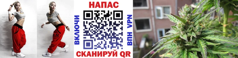 Купить где  Славгород  МАРИХУАНА индика 